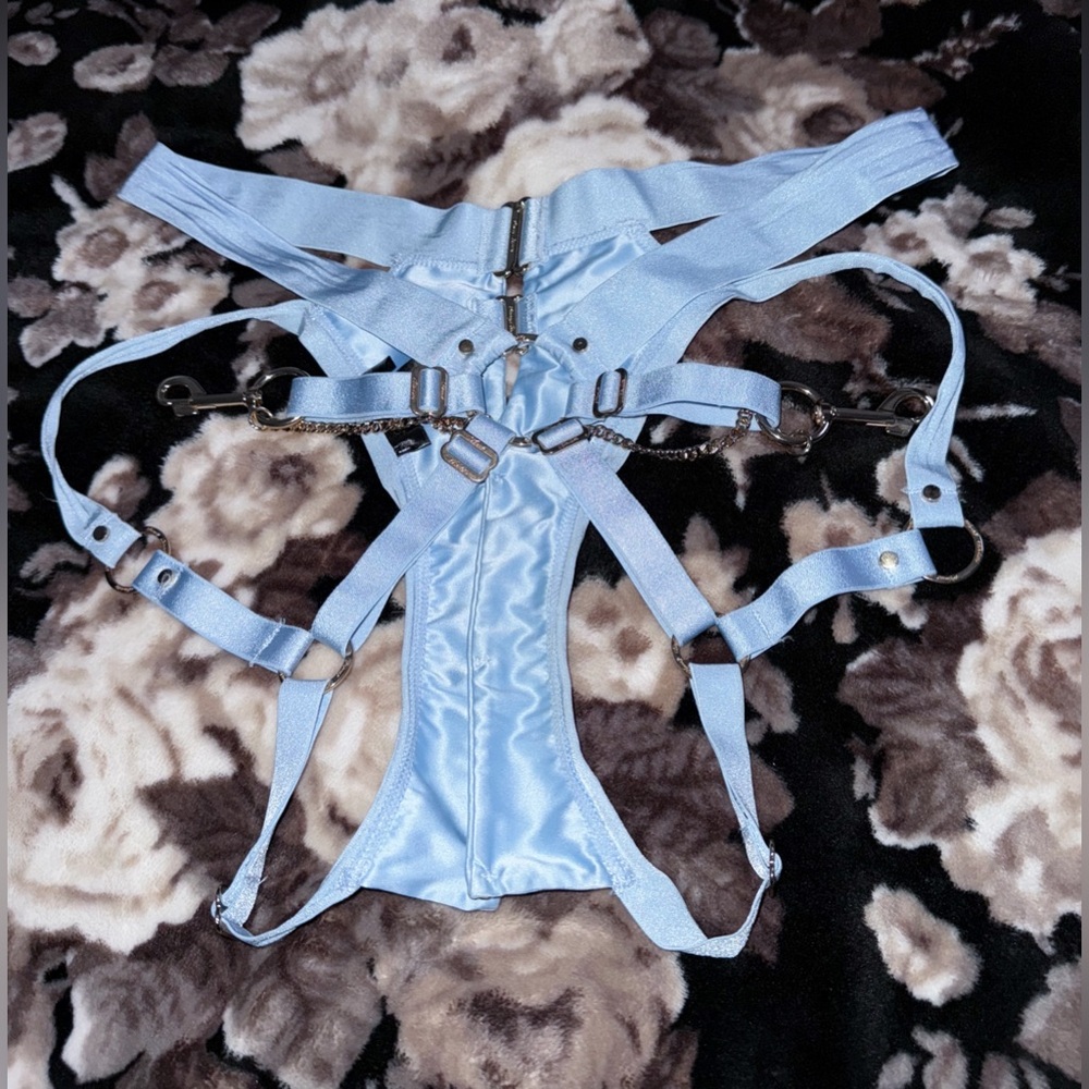 🖤RARE & SET🖤 Honey Bridgette Kukuro Bottoms + Garter Belt - Baby Blue M - Picture 4 of 7